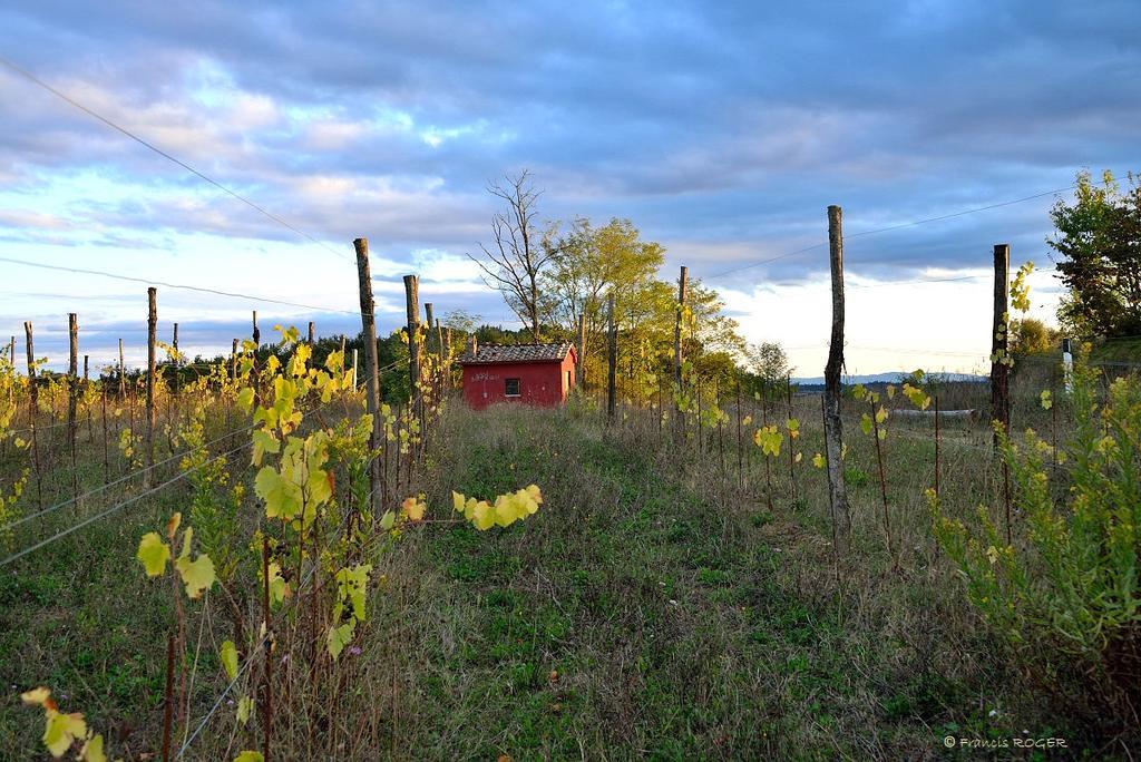 Hotel Il Pozzo Della Citerna Castelnuovo Berardenga Esterno foto