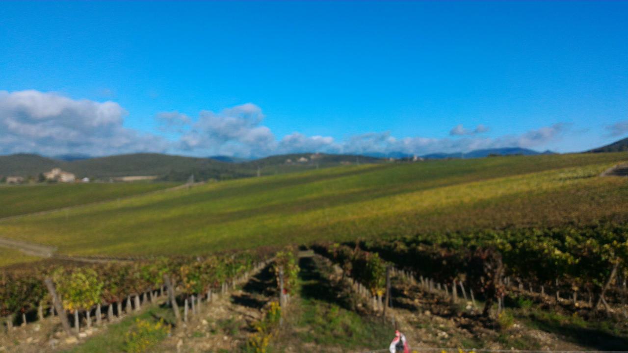 Hotel Il Pozzo Della Citerna Castelnuovo Berardenga Esterno foto